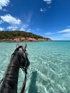 Balade à cheval